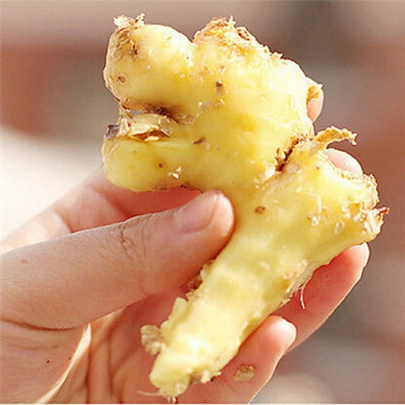 Racing Butterfly 2pcs Practical Stainless Steel Kitchen Gadget Garlic Ginger Cutter Peeler Tools