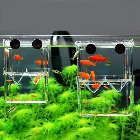 Racing Butterfly Double-Deck Clear Fish Breeding Isolation Box Aquarium Fish Tank Hatching House