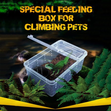Racing Butterfly Reptiles Spider Transparent Plastic Feeding Box Insect Food Feeding Container