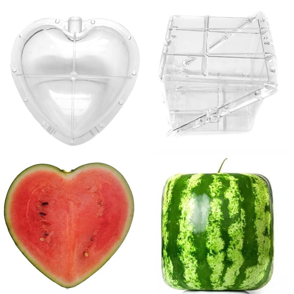 Racing Butterfly Square Heart Fruit Growth Forming Shaping Mold