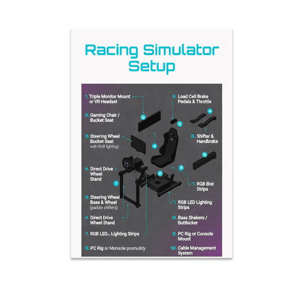 Racing Simulator Infographic - Sim Racing Enthusiast - 13x19 Poster Print