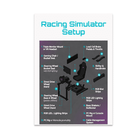 Racing Simulator Infographic - Sim Racing Enthusiast - 13x19 Poster Print