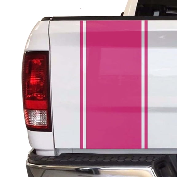 Racing Stripes Sport Lines Styling Straight Lines Truck Tailgate Vinyl Decal Sticker Compatible with Most Pickup Trucks … (11" x 25", Pink)