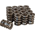 thumbnail image 1 of Racing Valve Springs, 1.465 Inch O.D., Set/16, 1 of 7