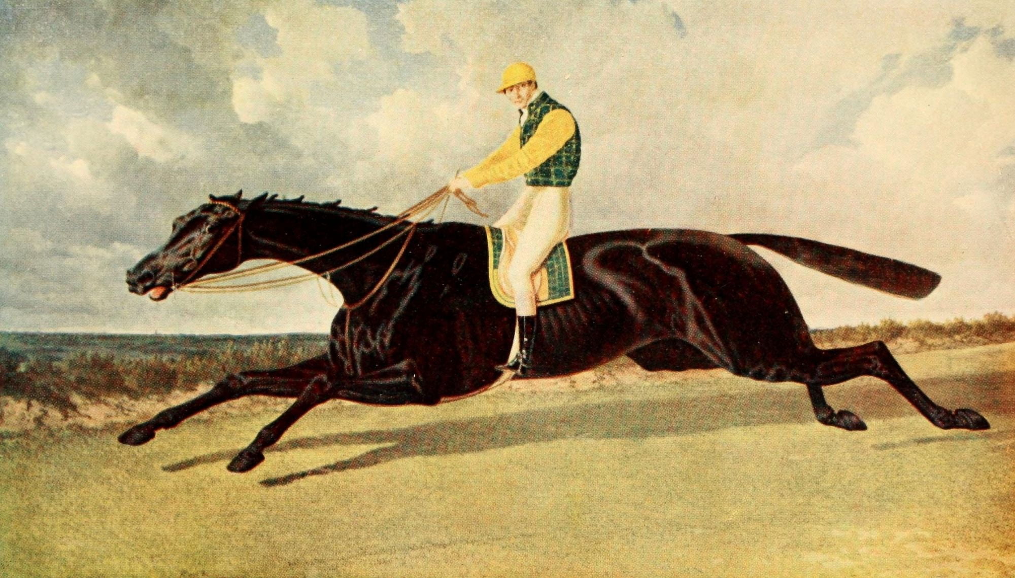 Racing World 1904 Flying Dutchman Canvas Art - John F Herring (24 x 36)