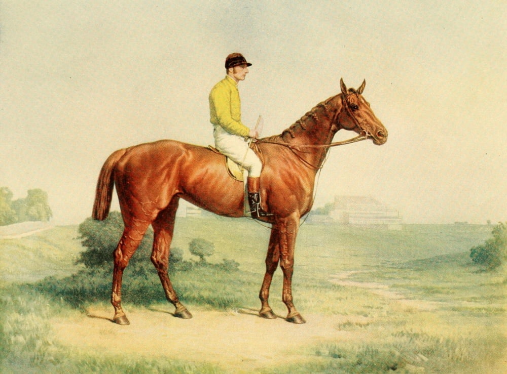 Racing World and its Inhabitants 1904 Shotover Canvas Art - W Sextie (18 x 24)