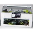 thumbnail image 1 of RackEm Racks 5148-W 70-Pair Safety Glasses Dispenser with lid - White Heavy- Duty Plastic, 1 of 1