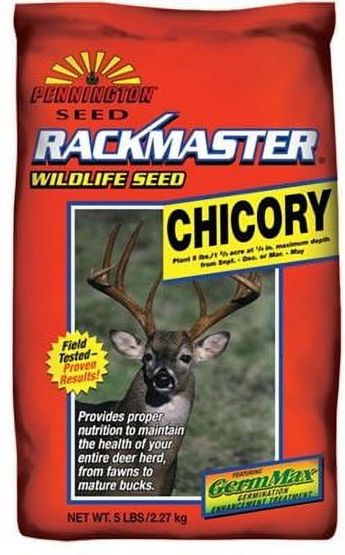 Rackmaster Chicory Food Plot Seed - 5 Lbs