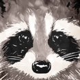 thumbnail image 1 of Racoon Eyes Poster Print by OnRei OnRei (24 x 24) # ONSQ201C, 1 of 1
