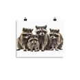 thumbnail image 1 of Racoon Poster Print Animal Wall Art Trash Panda Home Decor (11″×14″), 1 of 1