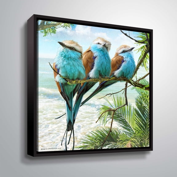 Racquet-tailed Rollers Oceanview