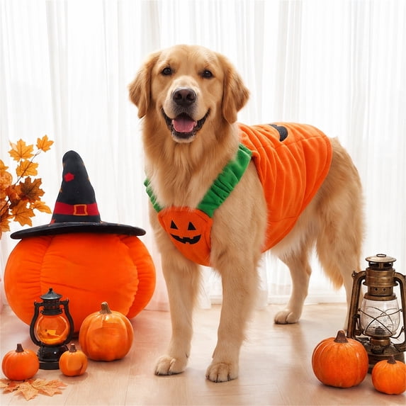 Racsoh Halloween Funny Pet Role Play Costume, Cute Transforming Pumpkin Outfit for Dogs and Cats, Halloween Christmas Party Dress Up Apparel for Photo Shoots (Orange, L)