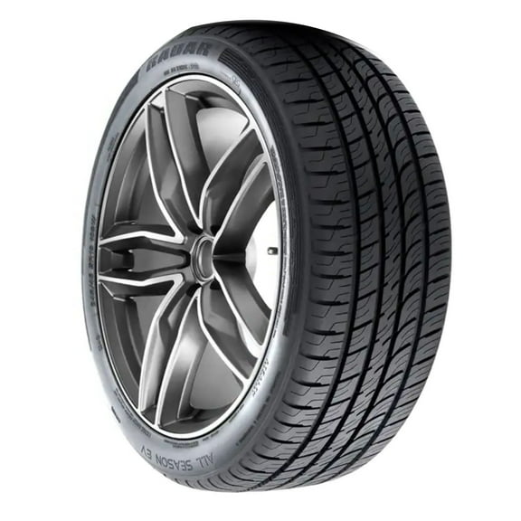 Radar All Season EV All Season 255/40R20 101W XL Electric Vehicle Tire