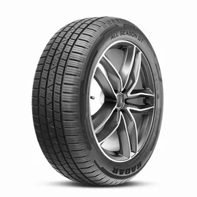 Radar All Season GT 225/50R17XL 98W Tire