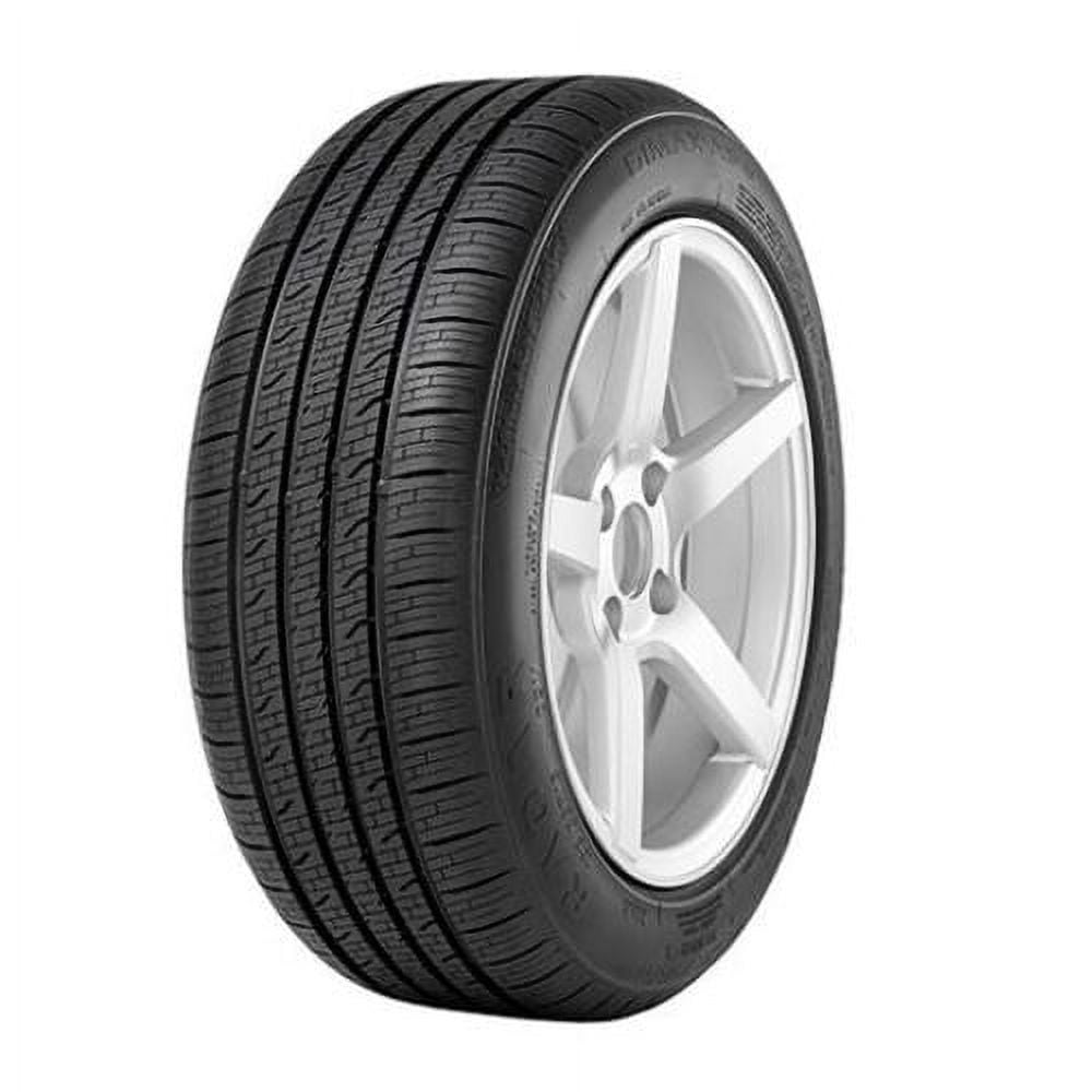 Radar Dimax AS-6 205/65R15 94H BSW (2 Tires) Fits: 2006-07 Honda Accord LX, 2005 Honda Accord EX Simolary simolary.com