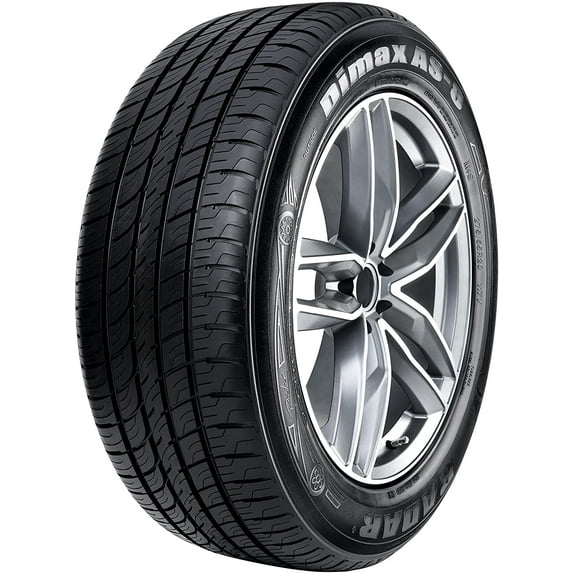 Radar Dimax AS-8 215/60R17 100H Passenger Tire Fits: 2017 Jeep Renegade North, 2017 Nissan Rogue SV