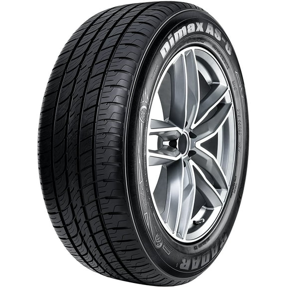 Radar Dimax AS-8 225/50R17 98W Passenger Tire