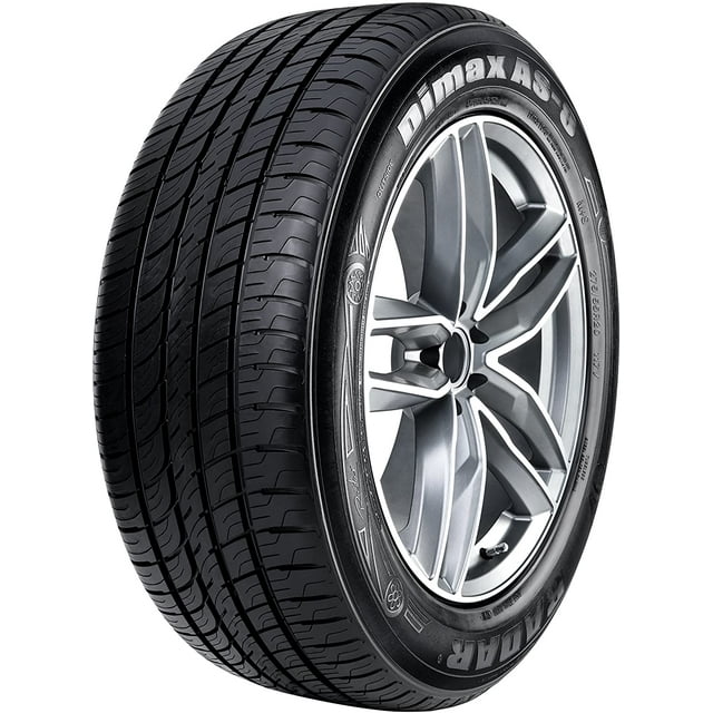 Radar Dimax AS-8 225/60R17 103V Passenger Tire Fits: 2018-23 Subaru Crosstrek Convenience, 2019-21 Jeep Cherokee Latitude Plus