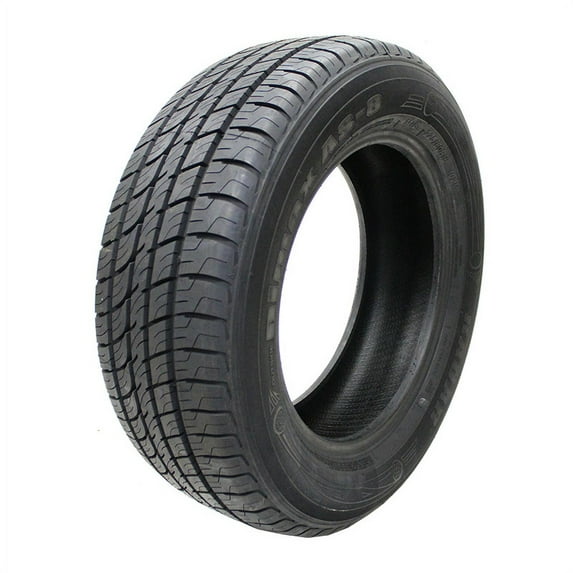 Radar Dimax AS-8 285/40R19 103W Passenger Tire