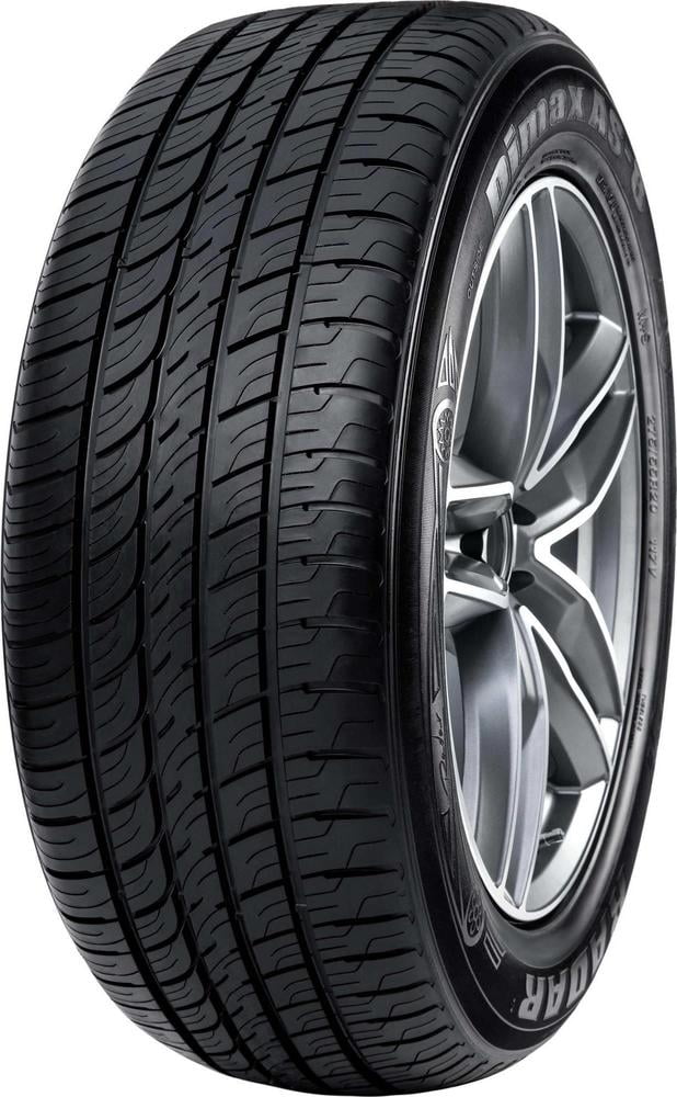 Radar Dimax AS-8 285/40R22 110 V Tire