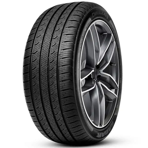Radar Dimax AS-9 All Season 205/50R17 93W XL Passenger Tire