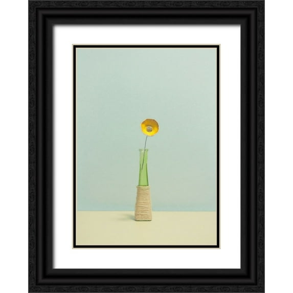 Radecki, Lech 18x24 Black Ornate Wood Framed with Double Matting Museum Art Print Titled - Flower