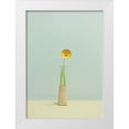 thumbnail image 1 of Radecki, Lech 24x32 White Modern Wood Framed Museum Art Print Titled - Flower, 1 of 4