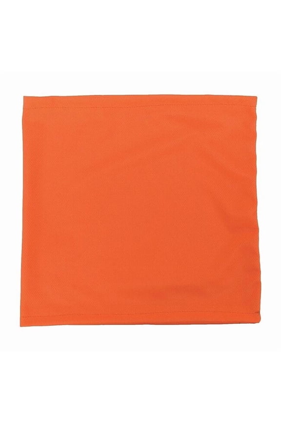 Neck Gaiter,Orange,Pullover Style RAD-NGOBE