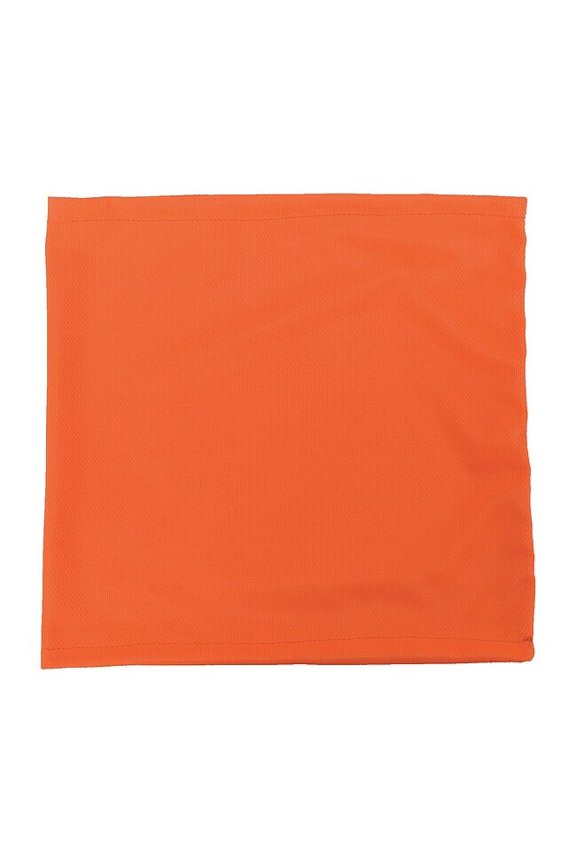 Manufacturer Varies Neck Gaiter,Orange,Pullover Style RAD-NGOBE