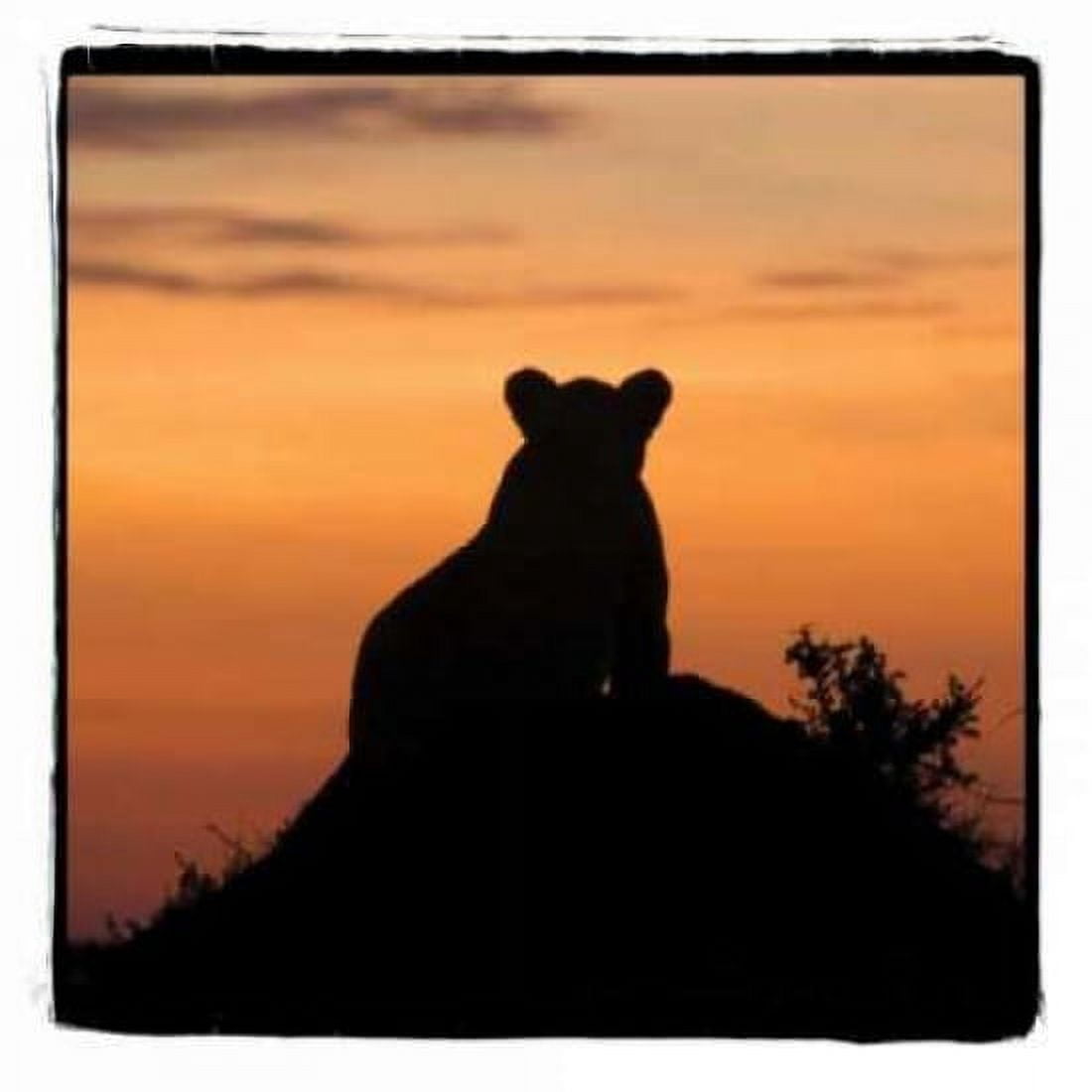 Radiant Africa III Canvas Art - Susann Parker (24 x 24)