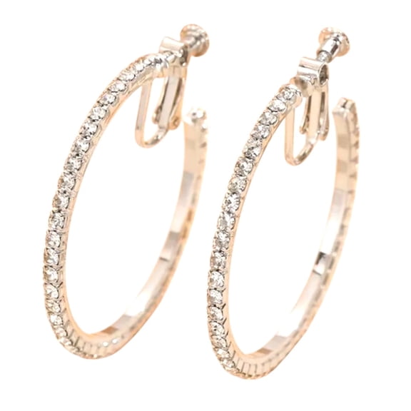 RubyLee Elegance Hoop Fashion Earrings, Stainless Steel, Jewelry Pouch, 2