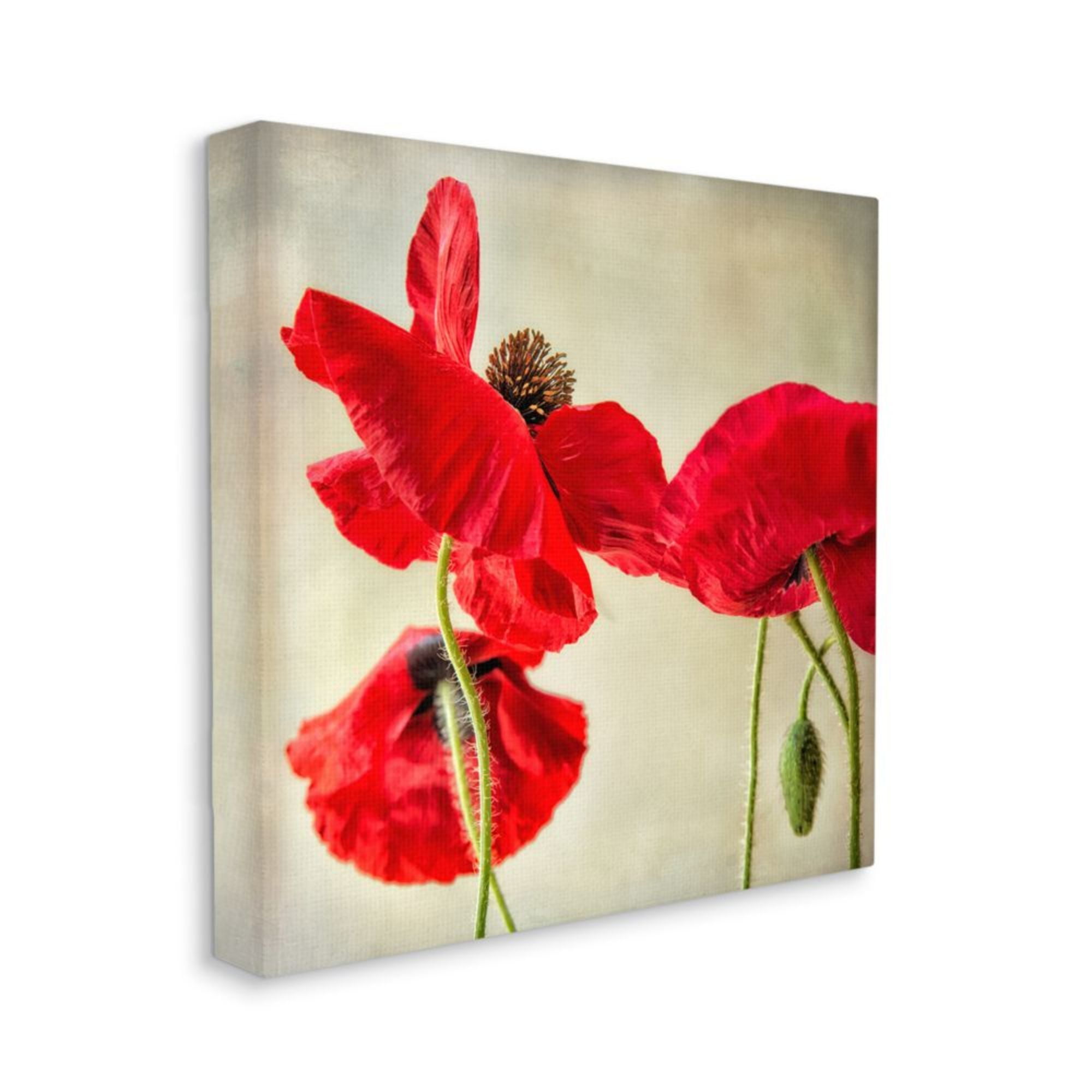 Radiant Red Poppy Striking Floral Details Botanical & Floral Gallery-Wrapped Canvas Print Wall Art, 17x17