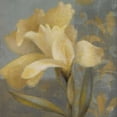 thumbnail image 1 of Radiant Square II Poster Print by Lanie Loreth (12 x 12), 1 of 1