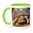 thumbnail image 1 of Radiated Tortoise Painted Shell, Madagascar-Af24 Jmc0000 - Joe And Mary Ann Mcdonald, 15oz Two-Tone Green Mug, 1 of 7
