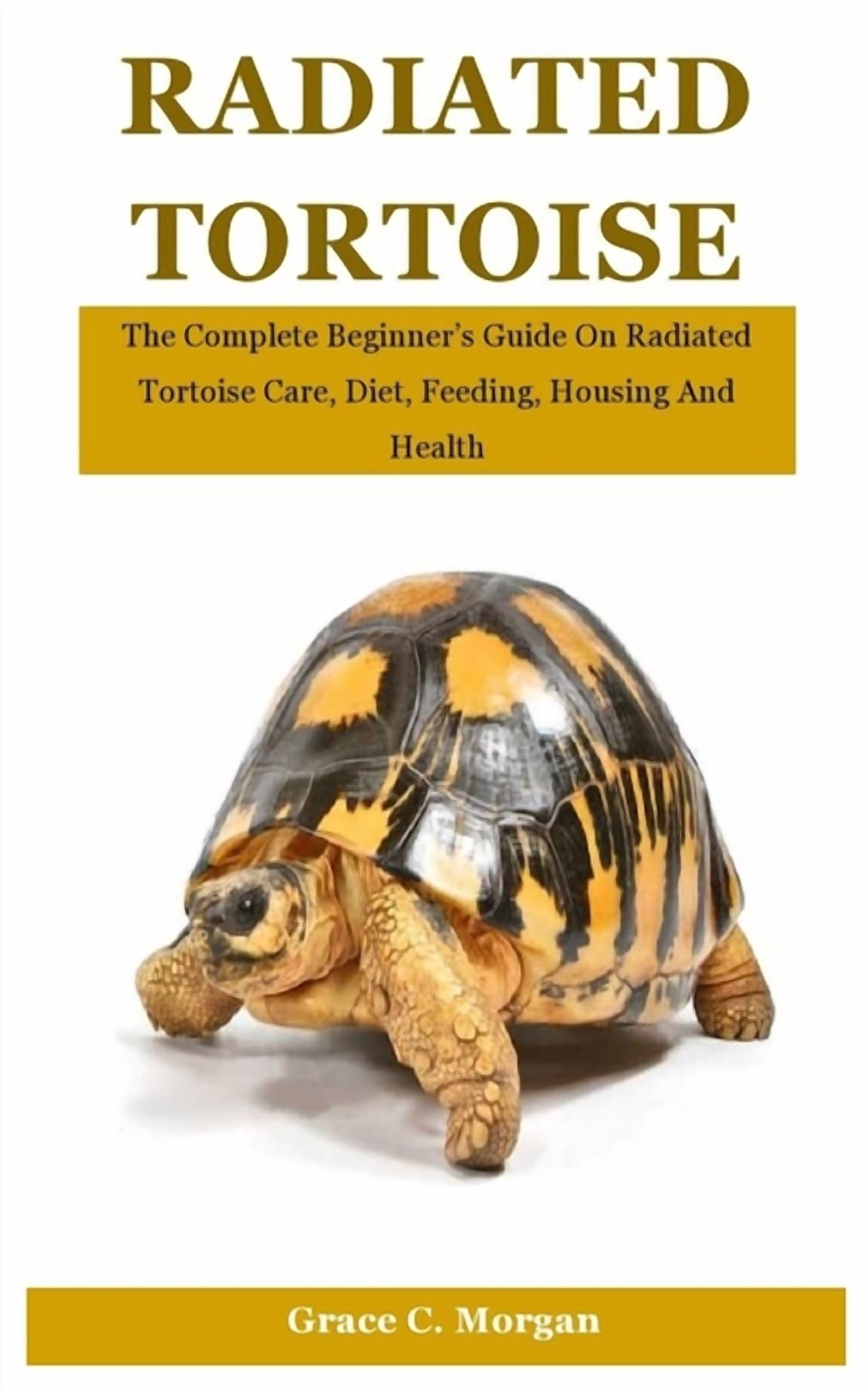 The Tortoise Raning Radiated Tortoise: The Complete Beginner's Guide On Radiated Tortoise ...