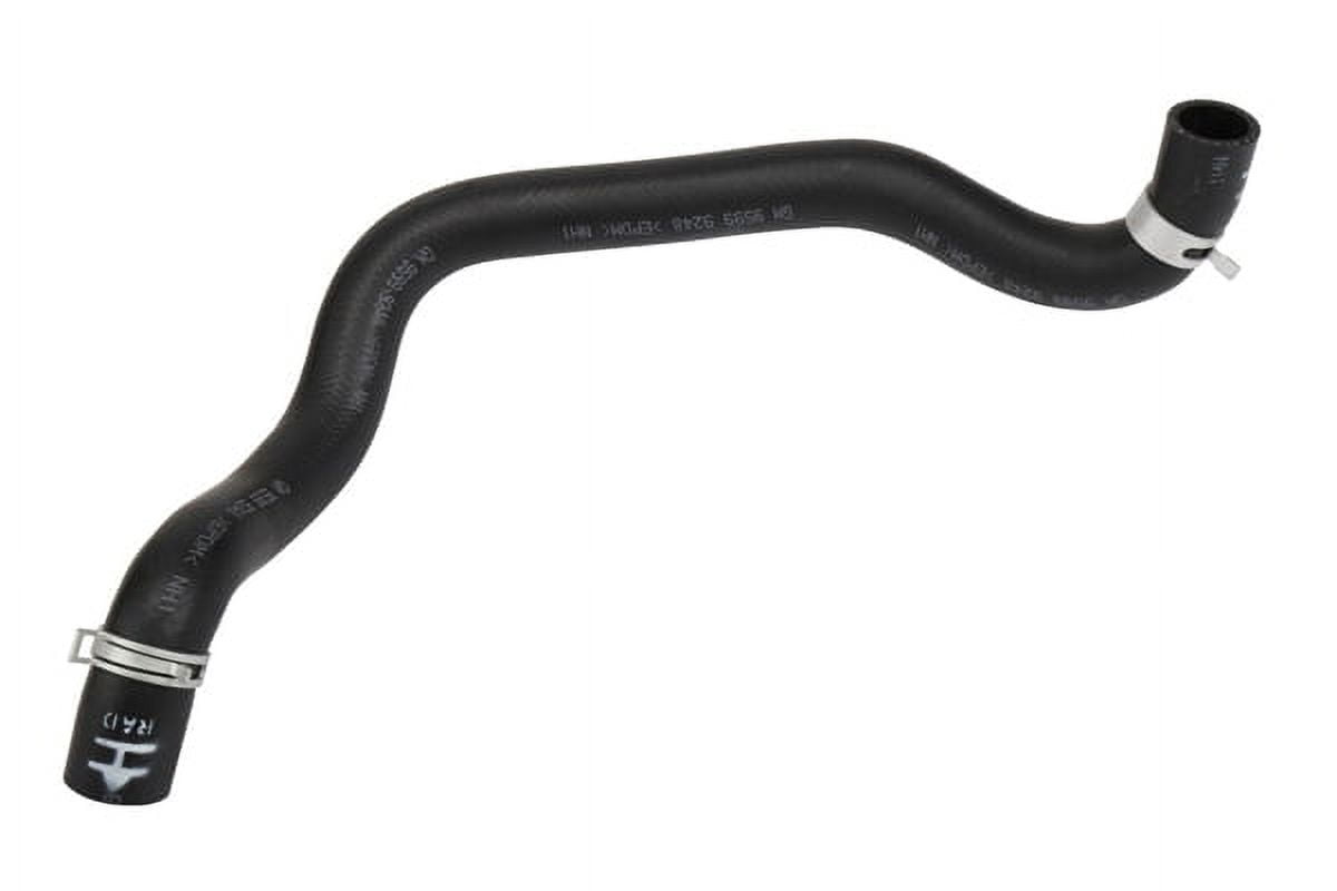 Radiator Outlet Hose