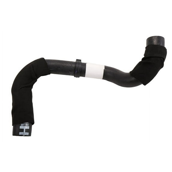 Radiator Outlet Hose