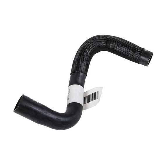 Radiator Outlet Hose