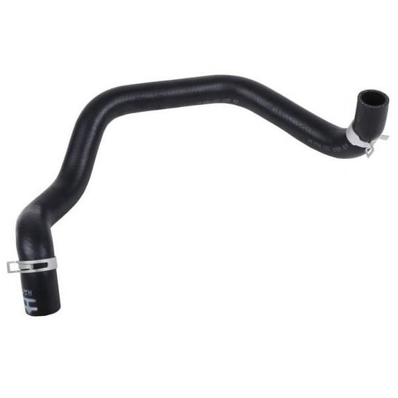 Radiator Outlet Hose