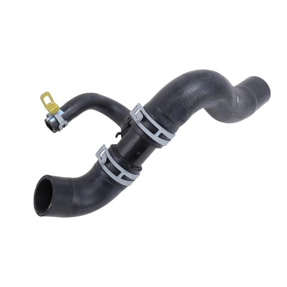 Radiator Outlet Hose
