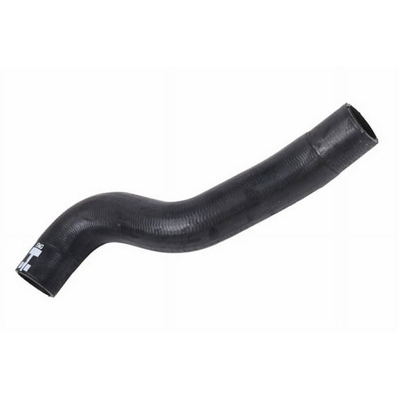 Radiator Outlet Hose
