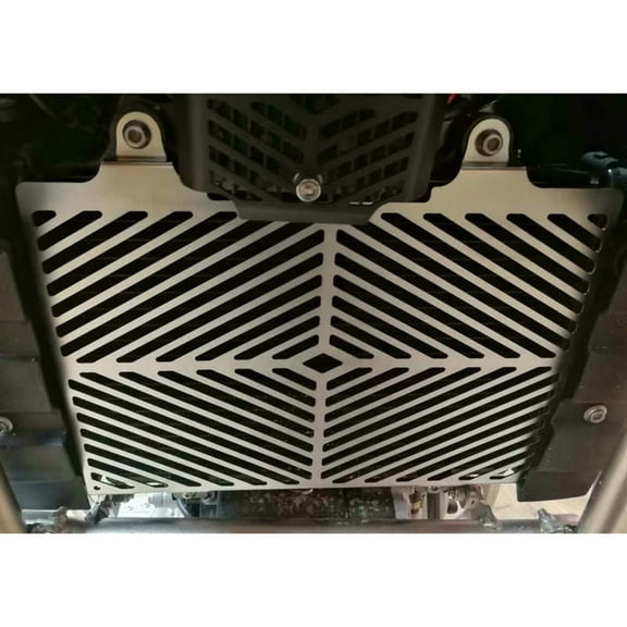 Radiator Protector Compatible for BMW G310GS G310R Silver