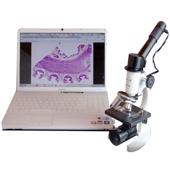 Radical 1000x Student School Biology LED Cordless with Rechageable Batteries Microscope w Inclined Head & USB Camera 5 Prepared and Blank Slide Kit