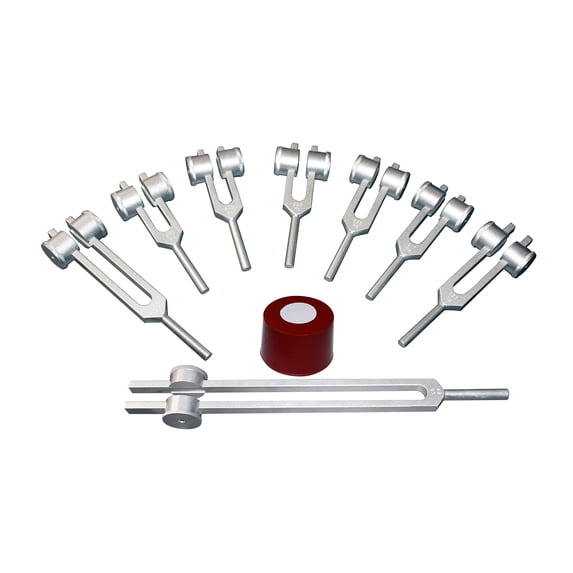 Radical 8 Chakra & Soul Purpose Cosmic Weighted Healing Tuning Forks
