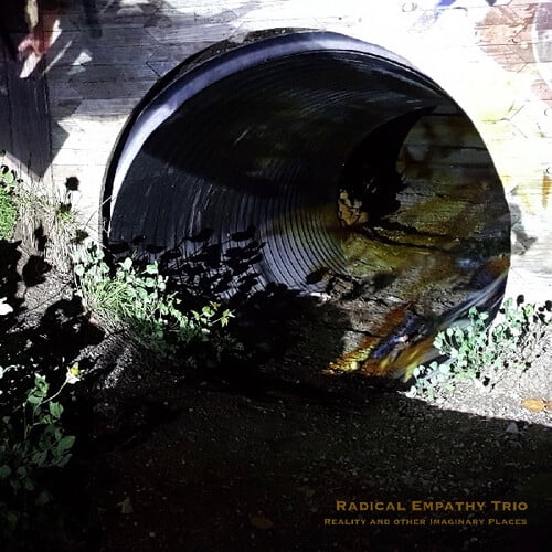 Radical Empathy Trio - Reality and Other Imaginary Places - Music & Performance - CD