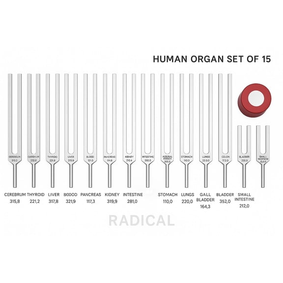 Radical INDIA Human Organ 15 Tuning Forks with Activator and Pouch