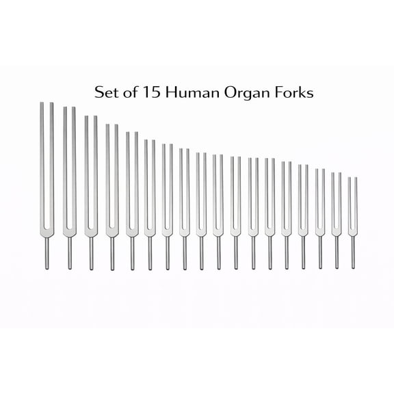 Radical 🧬 Human Organ Tuning Forks Set 15-Piece Collection | Sound & Vibrational Therapy