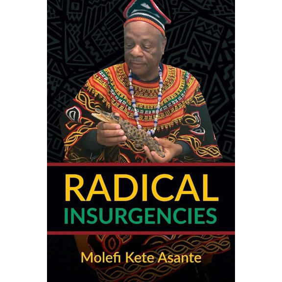 Radical Insurgencies, (Paperback)