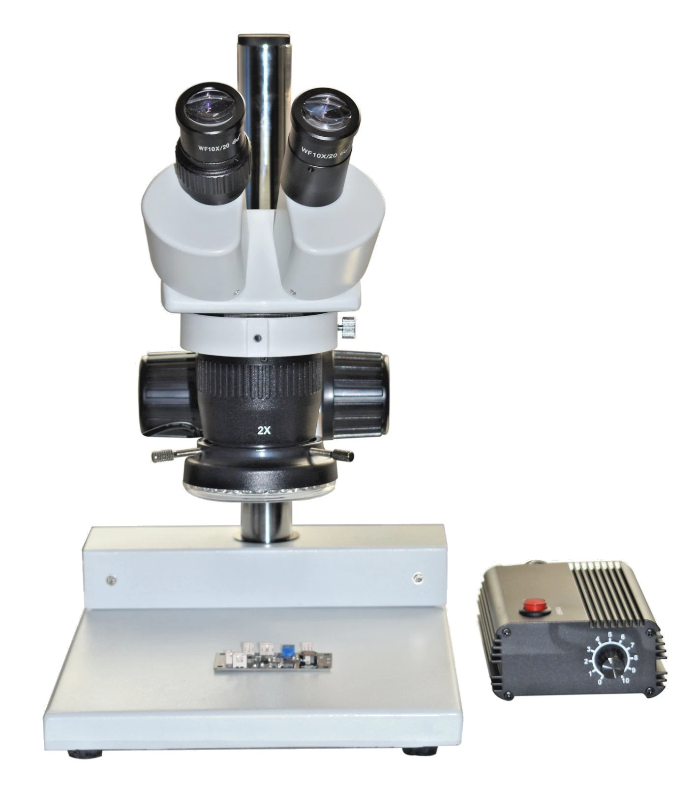 Sted Microscopy