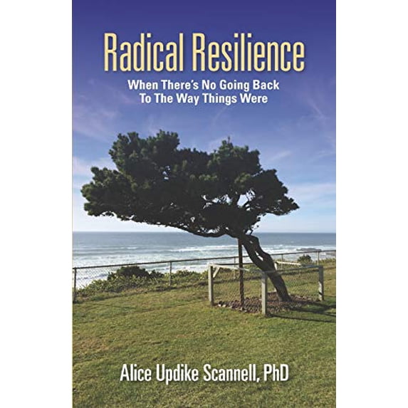 Pre-Owned Radical Resilience: When There's No Going Back to the Way Things Were (Paperback) 0999489402 9780999489406